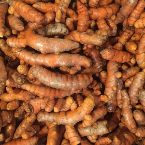TFR ships first fresh turmeric from Vietnam to Europe