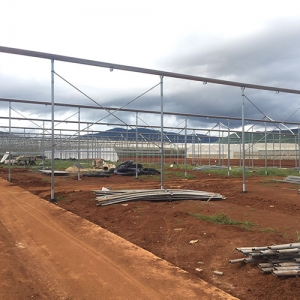 Construction of new modern greenhouse farm in the Central Highlands started