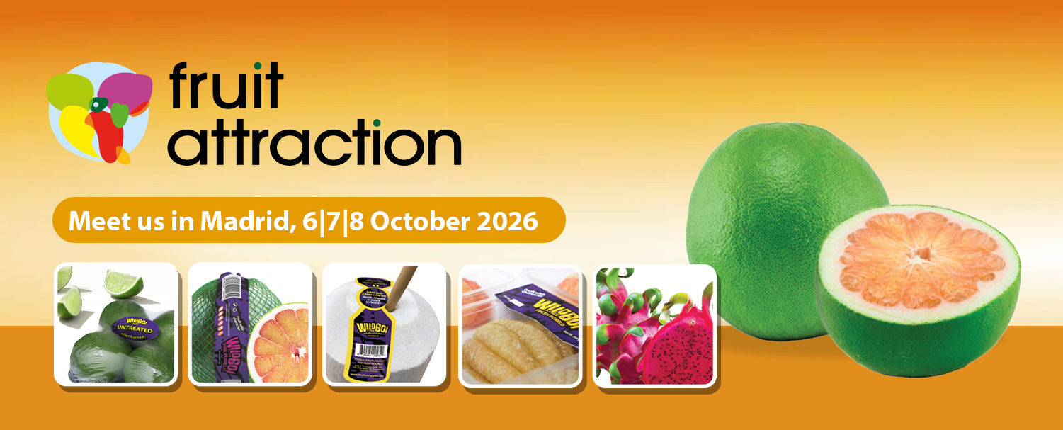 20260401-Fruitatraction