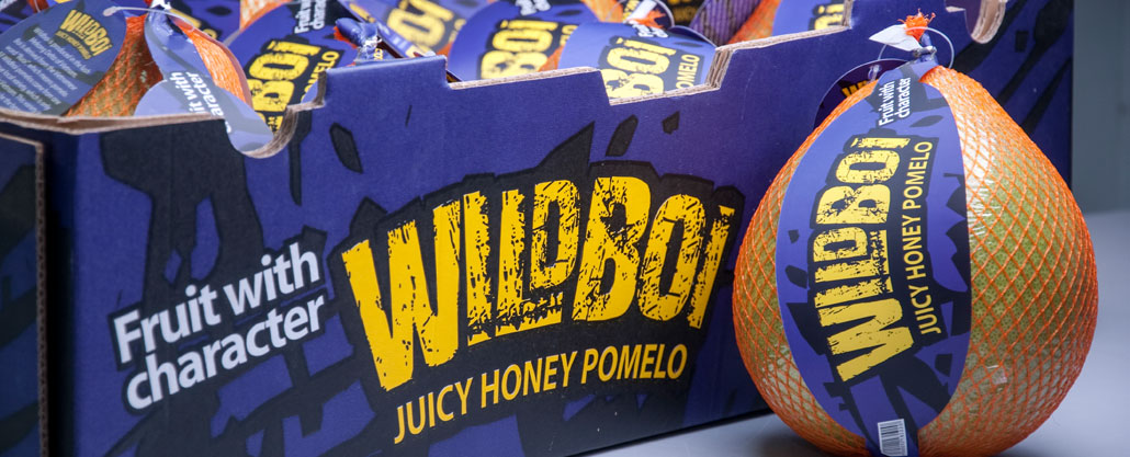 banner-wildboi-box