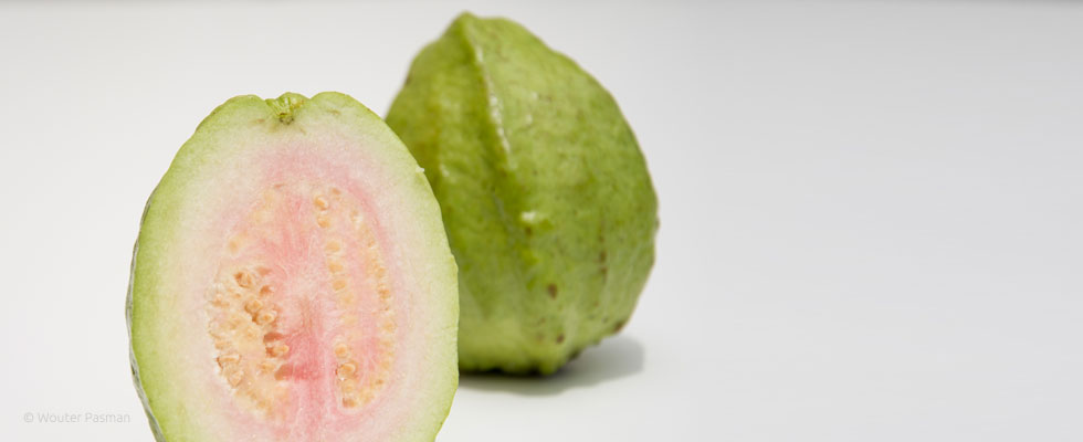 Pinkguava-980x400