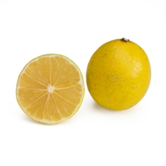 Lemon