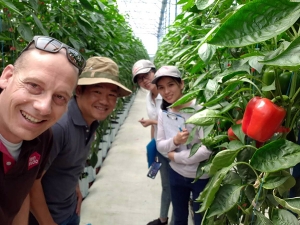 Continuously testing new varieties