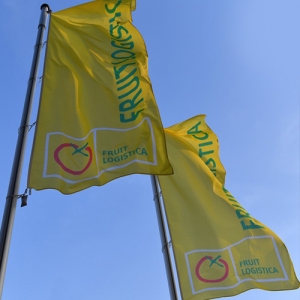 The Fruit Republic will be in Berlin 8-10 Feb 2017 attending the Fruit Logistica