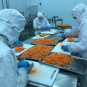 TFR opens new fresh produce distribution center in Hanoi