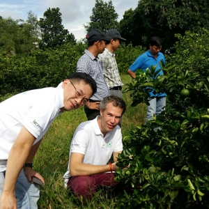Biological control program on citrus farming