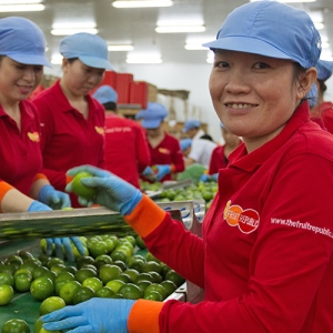 Successful social compliance audits: SMETA 4-pillar and GRASP