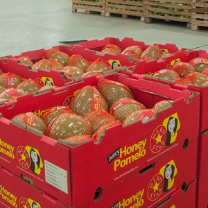 New Ho Chi Minh City distribution center of The Fruit Republic