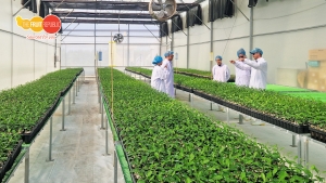 Assistant Nursery Manager