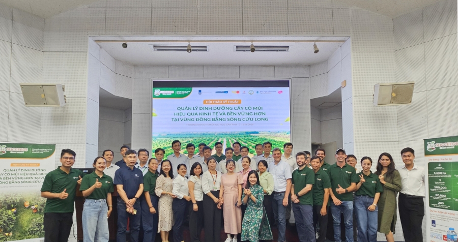 Advancing Soil Nutrient Management for Citrus in the Mekong Delta